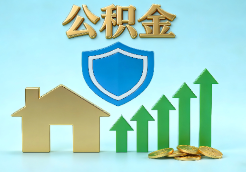 河源当前住房公积金提取条件分类指南与政策趋势